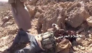 قنص قيادي بارز وسقوط عشرات القتلى والجرحى الموالين للتحالف بهجمات في مأرب والجوف