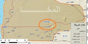 طيران التحالف “يساند” الحوثيين في المخا وحدوث مقتلة كبرى بصفوف المسلحين