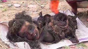 بالصور: غارة للتحالف “تشوي” أسرة مكونة من 8نساء بينهن حامل و7 أطفال بمنطقة يختل في المخا