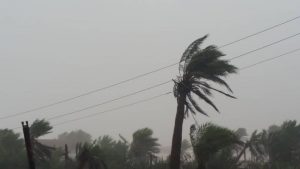 مقتل 5 أشخاص وفقدان 40 آخرين جراء إعصار ميكونو بجزيرة سقطرى