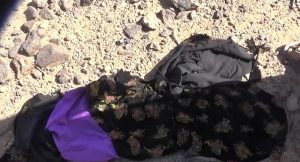 استشهاد 5 مدنيين بينهم ثلاث نساء حاولن اسعاف ضحايا غارة لطيران التحالف في صرواح