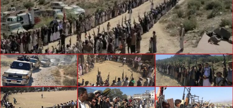 قبائل ريمة وإب تستنفر بلقاءات ووقفات مسلحة لمواجهة أي تصعيد يستهدف اليمن وفلسطين