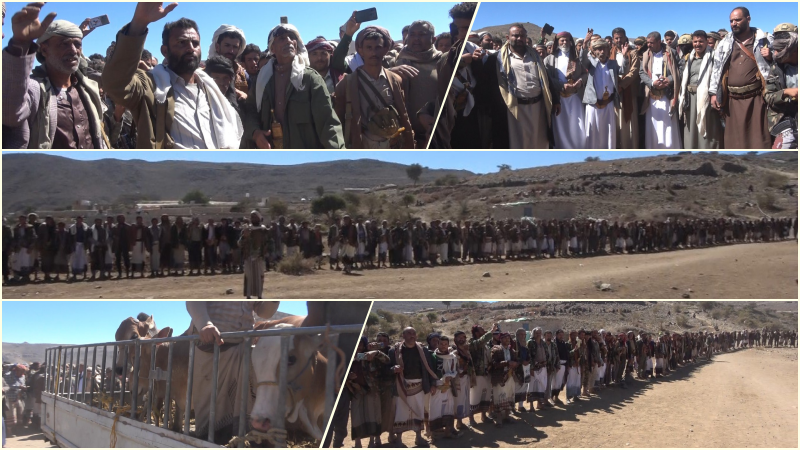 البيضاء: وساطة قبلية تنهي قضية قتل بين أسرتين من آل الشهابي