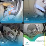 ضبط أدوية ومكملات مهربة بطرق احترافية في الراهدة