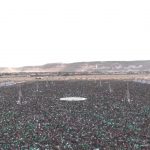 صعدة في رحاب المولد النبوي الشريف.. موج بشري يجسد عظمة المناسبة