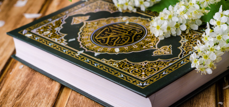 ماذا وراء تكرار الإساءة للقرآن الكريم في أمريكا؟