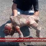 العدو السعودي يرتكب مجزرة مروعة في تعز و27 شهيدًا و18 جريحًا جلُّهم نساء وأطفال في الساعات الـ 24 الماضية