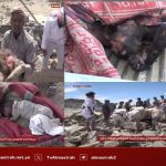 إبادة جماعية لأسرة آل دايل بالجوف.. هكذا يوغل العدو السعودي في دماء اليمنيين